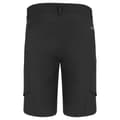 Miniatyrbillede 3 af 3: Salewa Shorts Puez Durastretch Cargo Sort L Mand