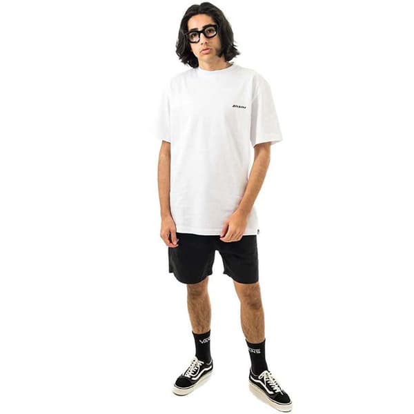 Dickies Shorts Bukser Pelican Rapids Sort S Mand