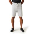 Miniatyrbillede 1 af 7: Regatta Shorts Aldan Hvid 33 Mand