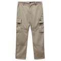 Miniatyrbillede 1 af 4: Dickies Cargo Bukser Eagle Bend Beige 29 Mand