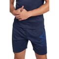 Miniatyrbild 1 av 3: Umbro Shorts Pro Training Active Poly Blå S Man