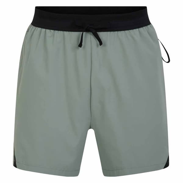 Dare2b Shorts Ultimate Grå M Mand