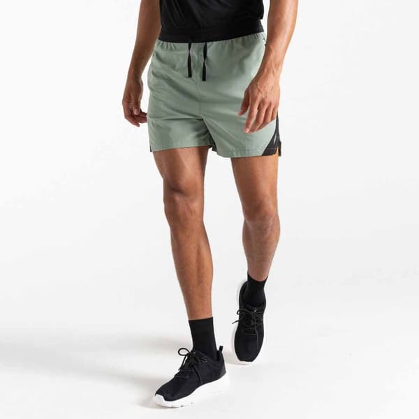Dare2b Shorts Ultimate Grå M Mand