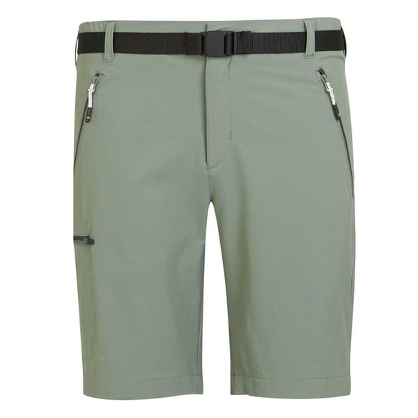 Regatta Shorts Xert Stretch Iii Grøn 48 / Regular Mand