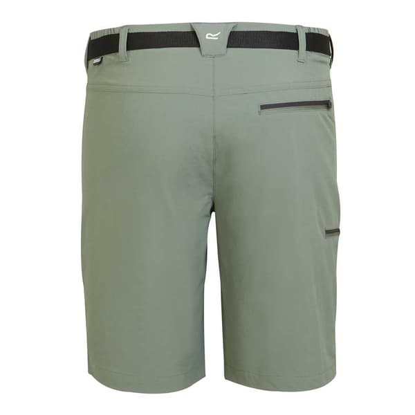 Regatta Shorts Xert Stretch Iii Grøn 48 / Regular Mand