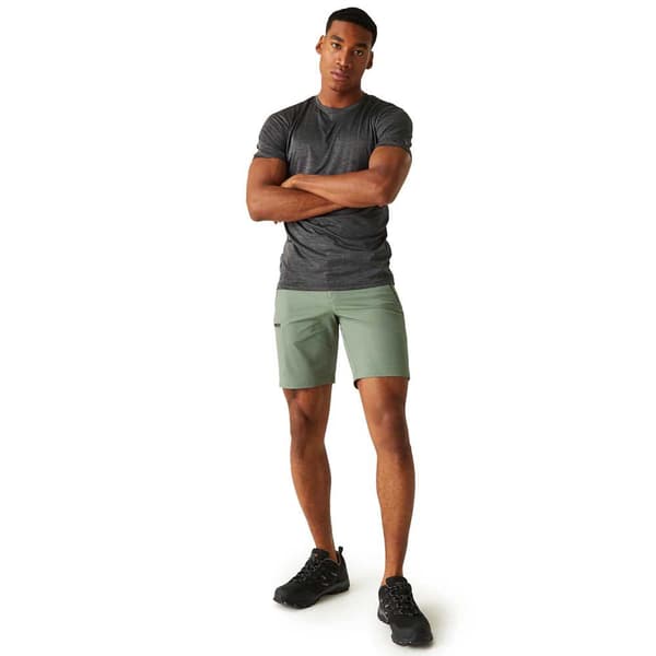 Regatta Shorts Xert Stretch Iii Grøn 48 / Regular Mand