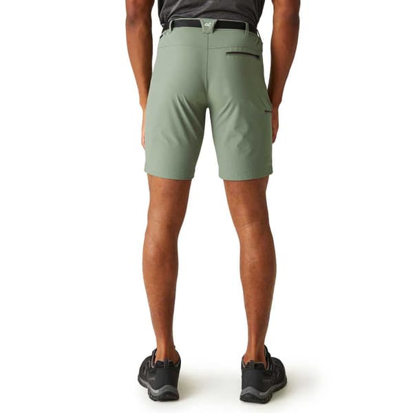 Regatta Shorts Xert Stretch Iii Grøn 48 / Regular Mand
