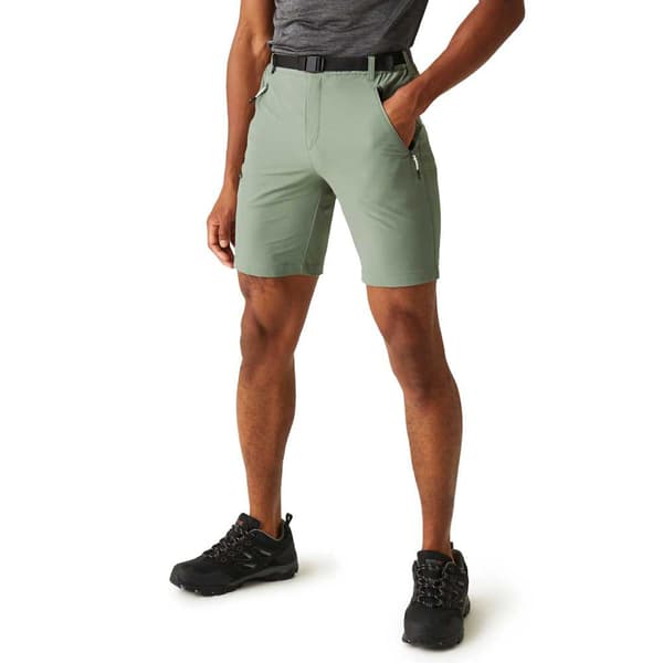 Regatta Shorts Xert Stretch Iii Grøn 48 / Regular Mand