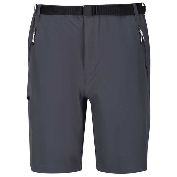 Regatta Shorts Xert Stretch Iii Grå 44 Mand