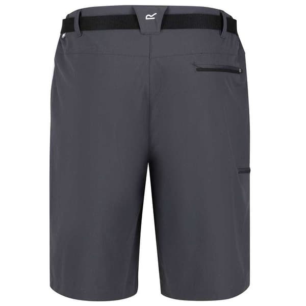 Regatta Shorts Xert Stretch Iii Grå 44 Mand