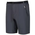 Miniatyrbillede 5 af 7: Regatta Shorts Xert Stretch Iii Grå 44 Mand