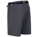 Miniatyrbillede 6 af 7: Regatta Shorts Xert Stretch Iii Grå 44 Mand