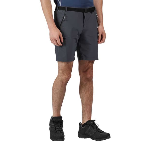 Regatta Shorts Xert Stretch Iii Grå 44 Mand