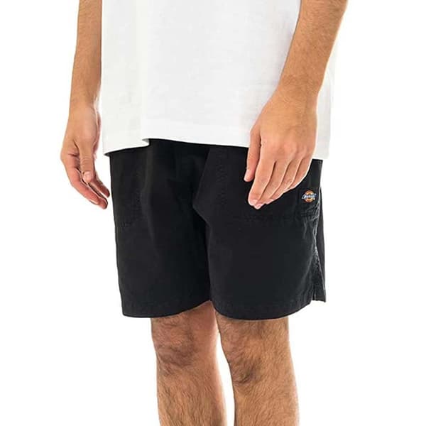 Dickies Shorts Byxor Pelican Rapids Svart XS Man