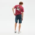 Miniatyrbild 9 av 9: Hydroponic Shorts Century Dnm  30 Man
