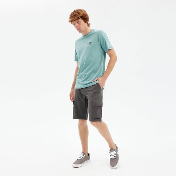 Hydroponic Shorts Clover Rs  34 Mand