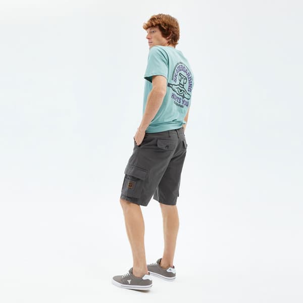 Hydroponic Shorts Clover Rs  34 Mand