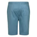 Miniatyrbillede 4 af 7: Regatta Shorts Aldan  33 Mand