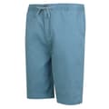 Miniatyrbillede 5 af 7: Regatta Shorts Aldan  33 Mand