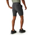 Miniatyrbillede 2 af 8: Regatta Travel Light Shorts Grå 30 Mand