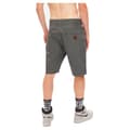 Miniatyrbillede 5 af 7: Hydroponic Shorts Century Rng Grå 31 Mand