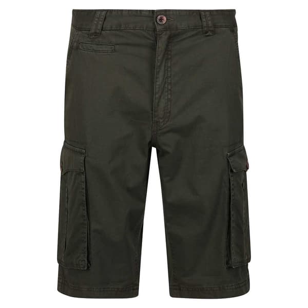 Regatta Shorebay Shorts Grøn 34 Mand
