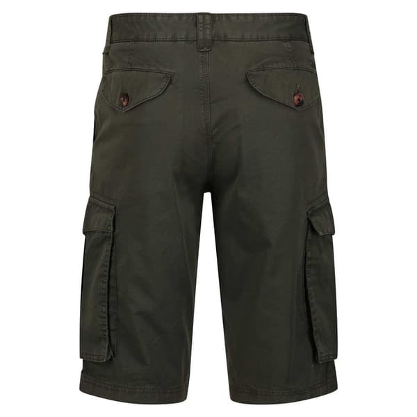 Regatta Shorebay Shorts Grøn 34 Mand