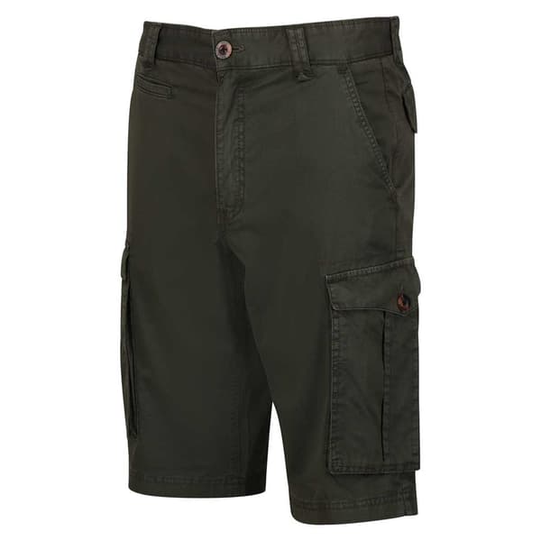 Regatta Shorebay Shorts Grøn 34 Mand