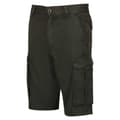 Miniatyrbillede 5 af 9: Regatta Shorebay Shorts Grøn 36 Mand
