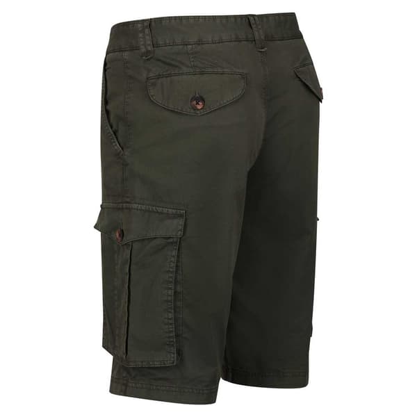 Regatta Shorebay Shorts Grøn 36 Mand