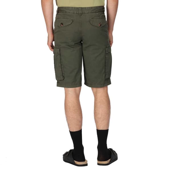 Regatta Shorebay Shorts Grøn 36 Mand