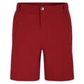 Miniatyrbillede 3 af 9: Dare2b Shorts Tuned In Ii  34 Mand
