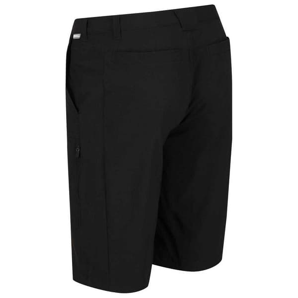 Regatta Highton Long Shorts Sort 32 Mand