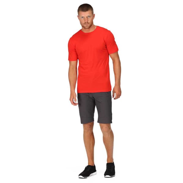 Regatta Shorts Highton Long Grå 32 Mand