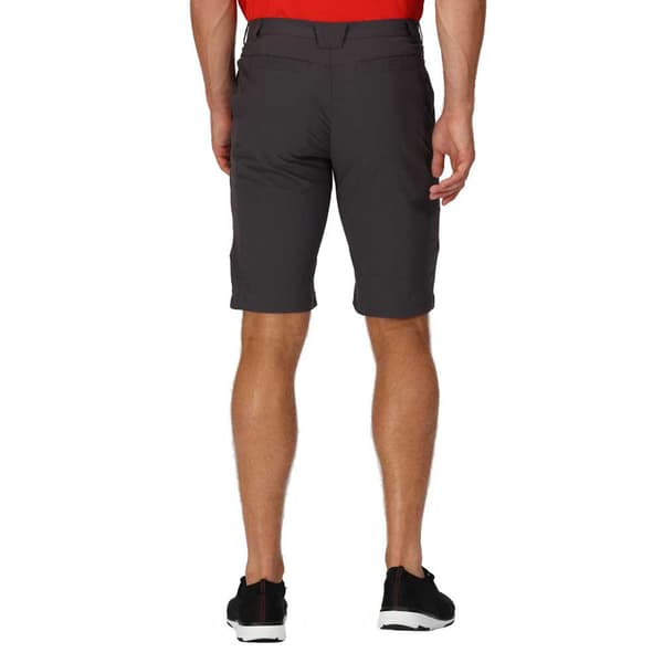 Regatta Shorts Highton Long Grå 32 Mand