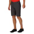 Miniatyrbillede 1 af 7: Regatta Shorts Highton Long Grå 32 Mand