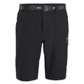 Miniatyrbillede 1 af 4: Altus Taupo I30 Shorts Grøn XL Mand