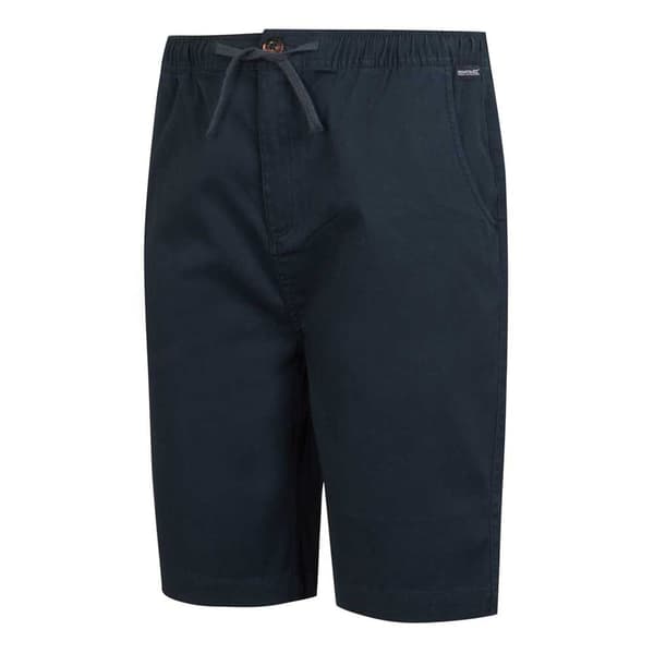 Regatta Aldan Shorts Blå 38 Mand