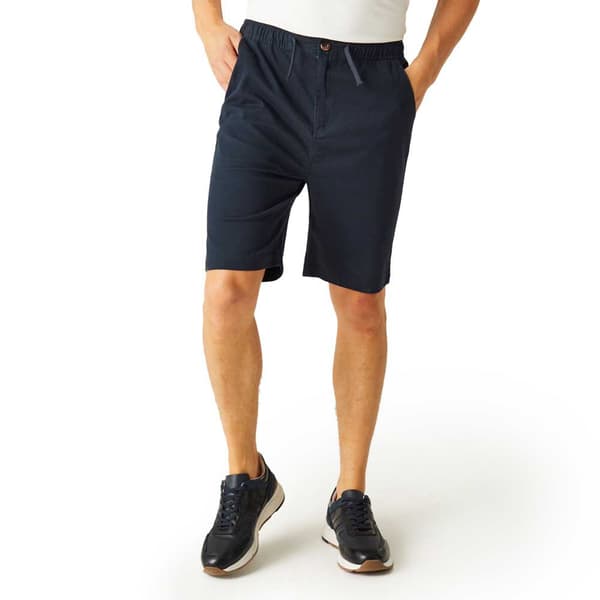 Regatta Aldan Shorts Blå 38 Mand