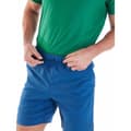 Miniatyrbillede 3 af 6: Berghaus Senke Stretch Shorts Blå M Mand