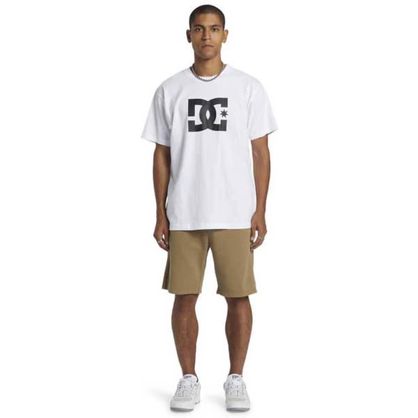 Dc Shoes Highland Svedbukser Beige S Mand