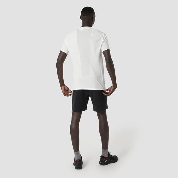 Salewa Pedroc 2 Dst Shorts Grå L Man