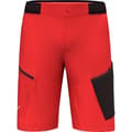 Pikkukuva 3 / 4: Salewa Pedroc 3 Dst Shortsit  S Mies