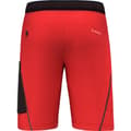Pikkukuva 4 / 4: Salewa Pedroc 3 Dst Shortsit  S Mies