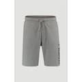 Miniatyrbillede 1 af 2: O´neill Logo Shorts Grå L Mand