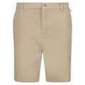 Miniatyrbillede 3 af 7: Regatta Shorts Sabden Beige 34 Kvinde
