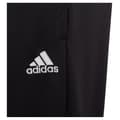 Miniatyrbild 3 av 5: Adidas Byxor Entrada 22 Training Svart 15-16 Years