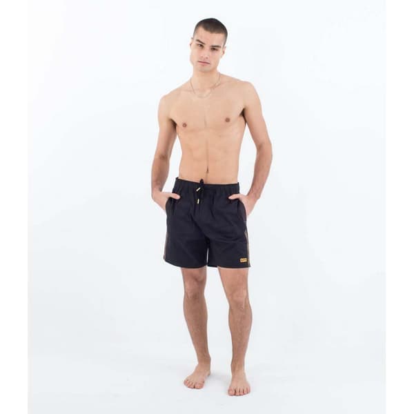 Hurley Walks Toledo Shorts Blå L Mand