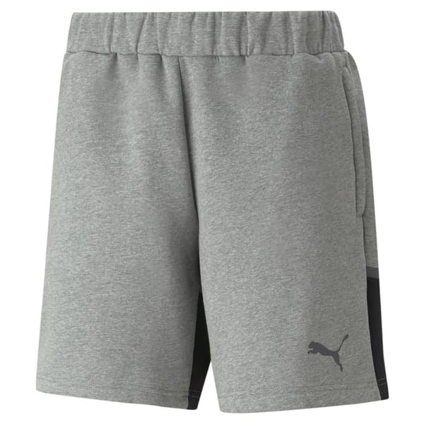 Puma Casual Shorts Teamcup Grå M Man