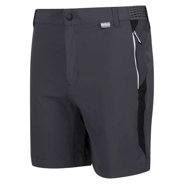 Regatta Mountain Ii Shorts Grå 32 Mand